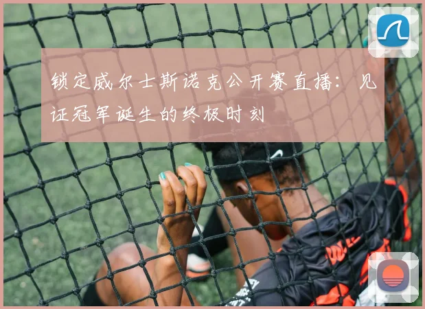 锁定威尔士斯诺克公开赛直播:见证冠军诞生的终极时刻